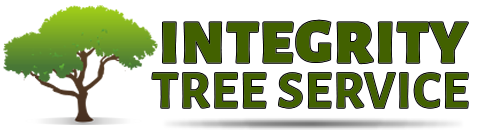 Tree Service Frisco, Texas